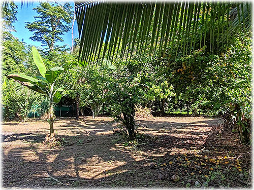 land, lot, Puerto Viejo lots