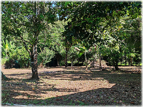 land, lot, Puerto Viejo lots