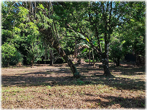 land, lot, Puerto Viejo lots