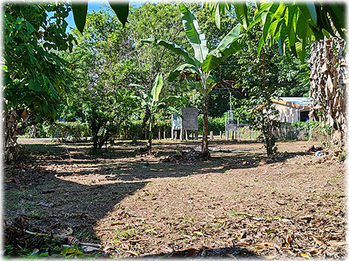 land, lot, Puerto Viejo lots