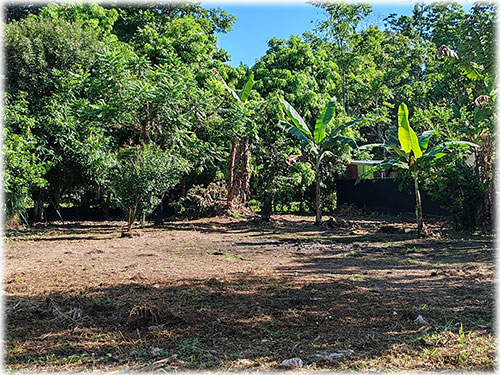 land, lot, Puerto Viejo lots