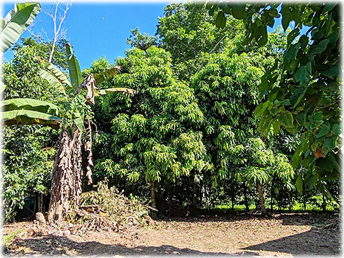 land, lot, Puerto Viejo lots