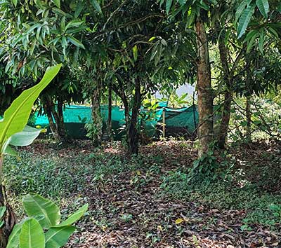 Sunny lot with utilities near Puerto Viejo