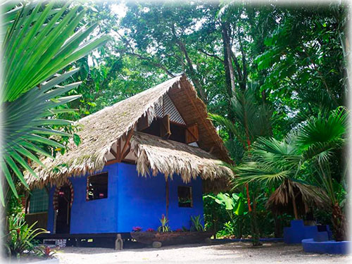 house downtown puerto viejo, cocles, playa negra, caribbean nightlife, surf lifestyle, local architecture, natural building, beach, rental
