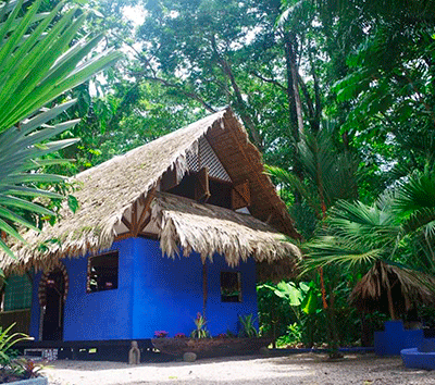 Luxury Villas Compound walking distance to Cocles and Puerto Viejo