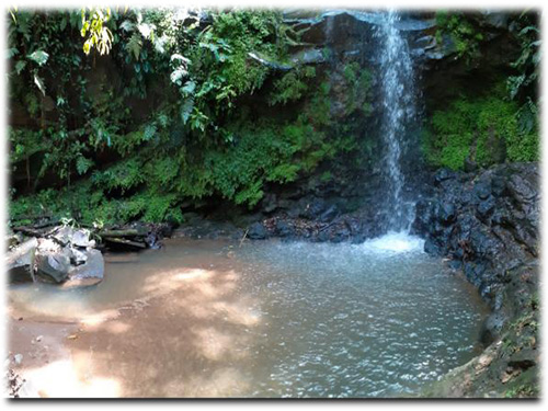 land for sale, Volcano views, turrialba, mountain, nature, Sustainable living, little forest, waterfall, rivers