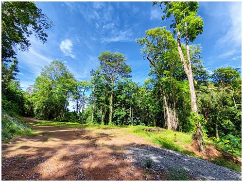 cahuita, caribbean, beach lots, land for sale, eco development