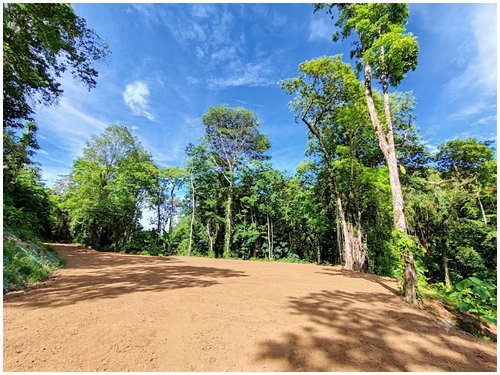 cahuita, caribbean, beach lots, land for sale, eco development