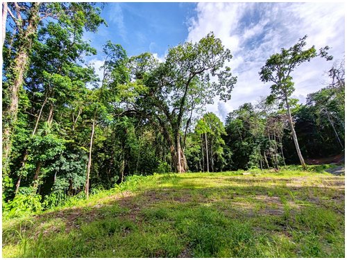 cahuita, caribbean, beach lots, land for sale, eco development