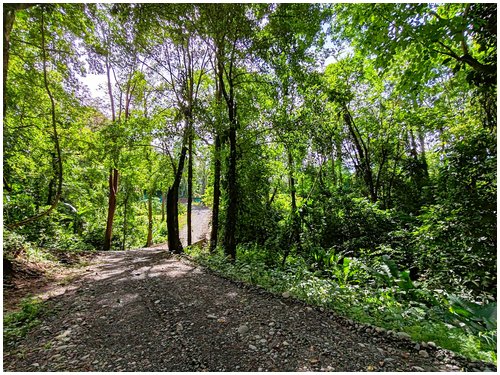 cahuita, caribbean, beach lots, land for sale, eco development