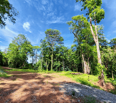 Land in Cahuita – Private Forest Setting, 800 m from Beach