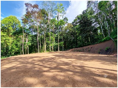cahuita, caribbean, beach lots, land for sale, eco development