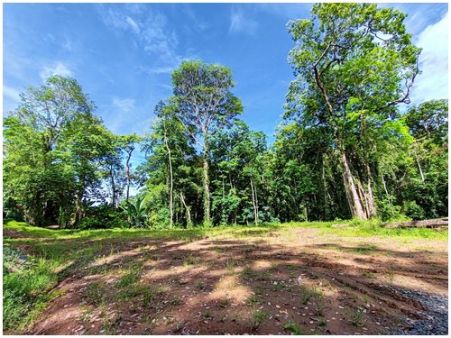 cahuita, caribbean, beach lots, land for sale, eco development