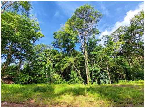 cahuita, caribbean, beach lots, land for sale, eco development