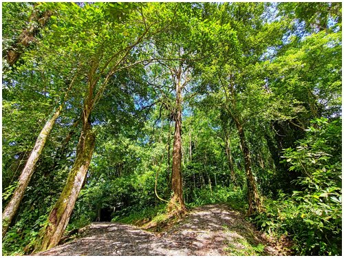 cahuita, caribbean, beach lots, land for sale, eco development