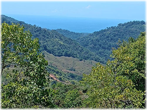 puntarenas, land for sale, development, ecological, sustainable, mountain views, ocean views, forest, oasis, nature, savegre
