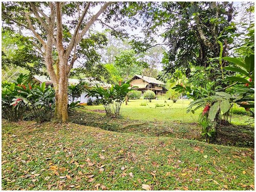 Cahuita real estate, multi-unit property Costa Rica, property near Cahuita National Park