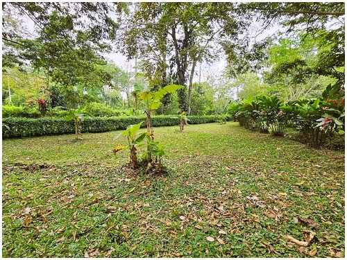 Cahuita real estate, multi-unit property Costa Rica, property near Cahuita National Park