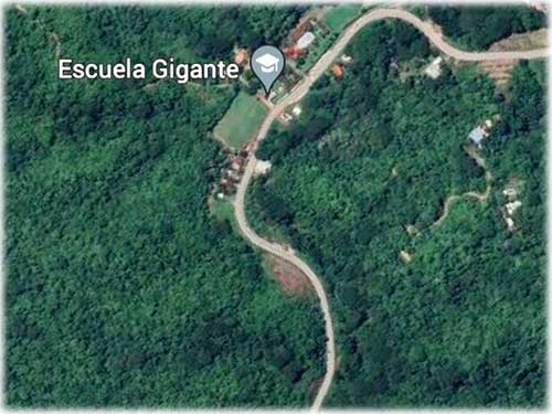 bahia grande, puntarenas, homes for sale, beach properties, fruit trees