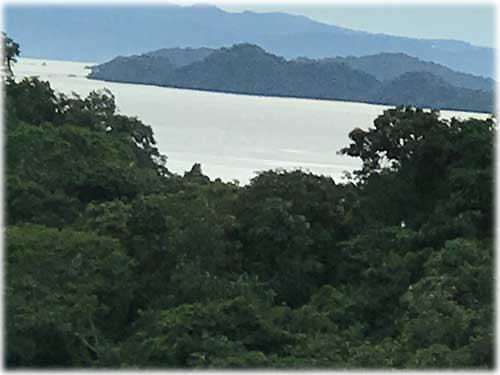 bahia grande, puntarenas, homes for sale, beach properties, fruit trees