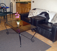 Fully Furnished Apartment in San Rafael, Escazu