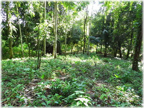 land for sale, for sale, income generating, uvita real estate, lots, south pacific