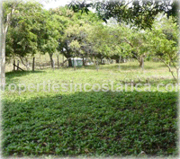 Costa Rica Real Estate