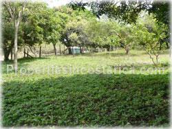 Pavones real estate, pavones costa rica, for sale, land in pavones, lots, near beach, close to beach, investment, south pacific land, 1772
