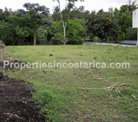 Great Value & Desirable Lot In Cariari