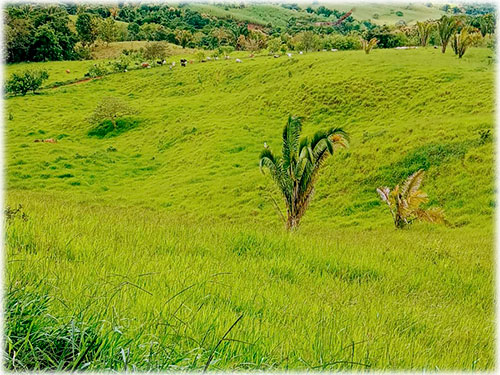 hacienda in jaco