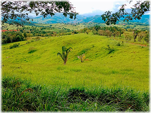 hacienda in jaco