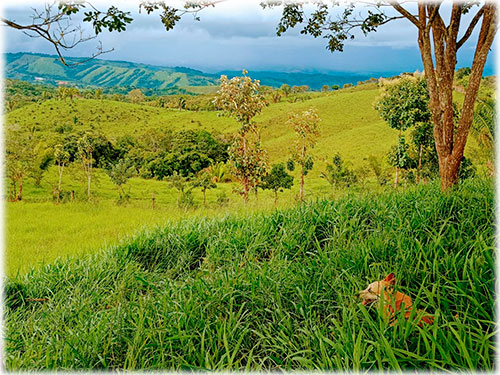 hacienda in jaco