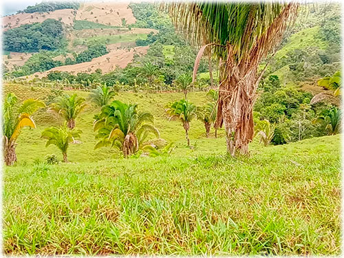 hacienda in jaco