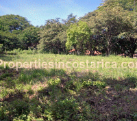 Costa Rica Real Estate