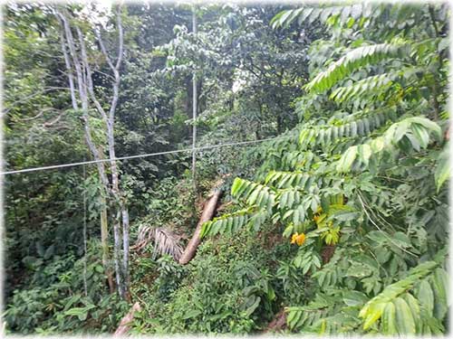 caribe, investment, beach, land for sale, development opportunity, mountain, punta uva, limon