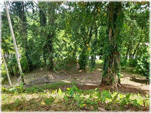 Cahuita, Real Estate, Property, Mixed-use, Commercial, Residential, land, properties, for sale, puerto viejo