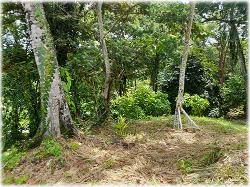 Cahuita, Real Estate, Property, Mixed-use, Commercial, Residential, land, properties, for sale, puerto viejo