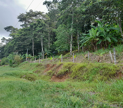 Mixed Use Land for Sale on Main Road Cahuita-PuertoViejo