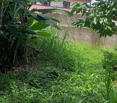 Stunning Commercial Property for development in Tibas, San Jose: Your Gateway to City Living and Nature's Paradise