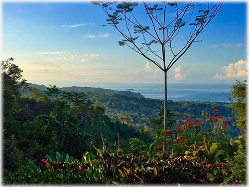 uvita real estate, homes, ocean views, beach, south pacific, contemporary, organic, homes for sale