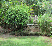 Walk to the Beach from this Bahia Ballena Home!