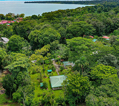Beautiful House, Walking distance from Cahuita National Park and beach