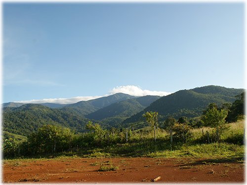 income producing, south pacific, commercial property, farms, mountain views, nature, development, investment