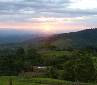 Income Producing Coffee Farm & Cattle Ranch