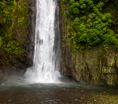 Rain Forest 67 Acres Land with Amazing Waterfalls. Short Distance from San Jose' Airport.