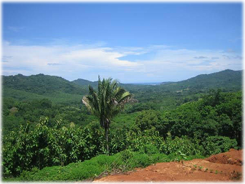 Guanacaste, Camaronal, Samara, Islita, ocean view, Real Estate, land, for sale, creek, hardwood, plantation, wildlife refuge, refugio, vida silvestre