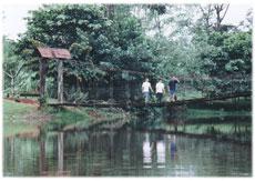 Invest on an ecological paradise