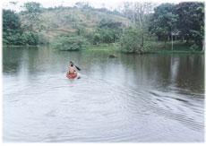 Invest on an ecological paradise
