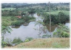 Invest on an ecological paradise