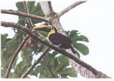 Invest on an ecological paradise